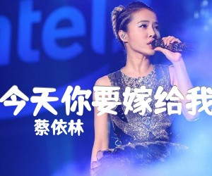蔡依林&陶喆《今天你要嫁给我》D调尤克里里谱