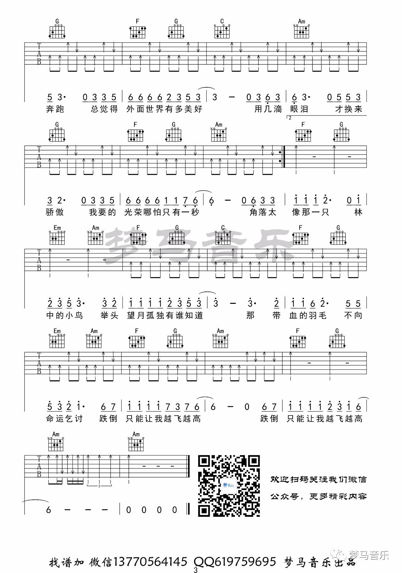 葛林《林中鸟》C调吉他谱