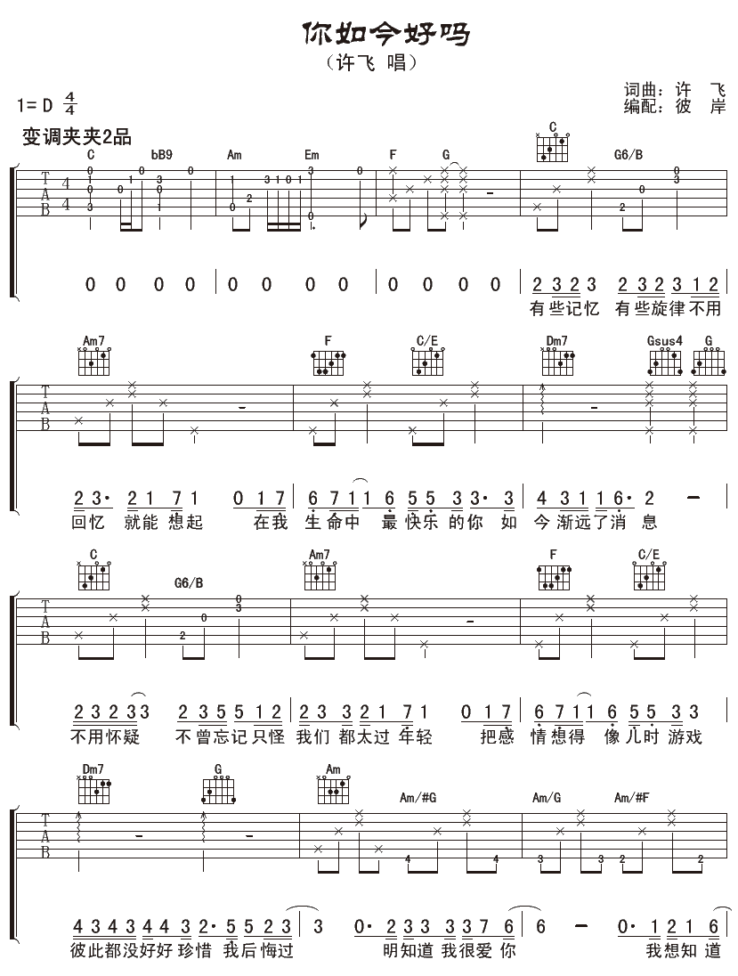 许飞《你如今好吗》D调吉他谱