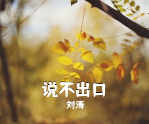 说不出口