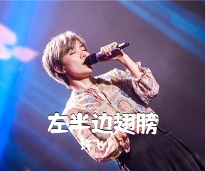 许飞《左半边翅膀》钢琴谱五线谱