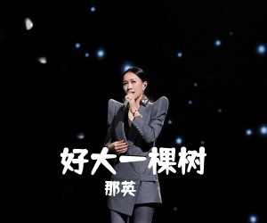 那英《好大一棵树》钢琴谱五线谱