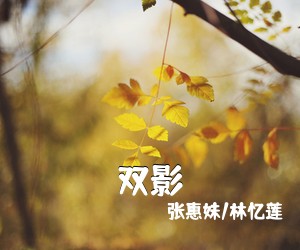 张惠妹/林忆莲《双影》钢琴谱五线谱