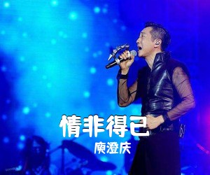 情非得已