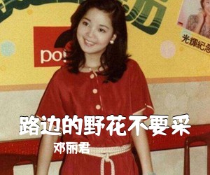 路边的野花不要采