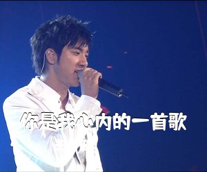 你是我心内的一首歌