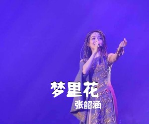 张韶涵《梦里花》钢琴谱五线谱