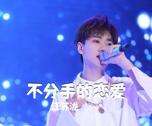 不分手的恋爱