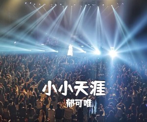 小小天涯