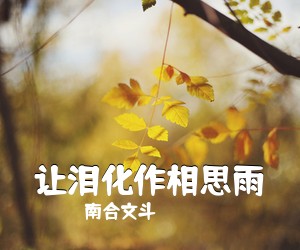 南合文斗《让泪化作相思雨》钢琴谱五线谱