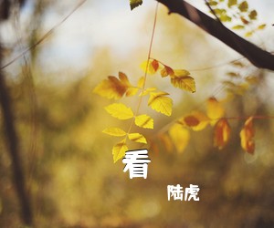 陆虎《看》钢琴谱五线谱