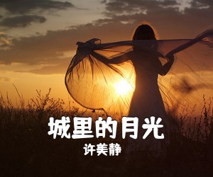 许美静《城里的月光》钢琴谱五线谱