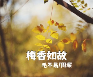 毛不易/周深《梅香如故》钢琴谱五线谱