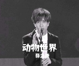 薛之谦《动物世界》C调吉他谱