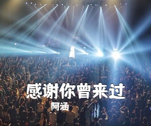 阿涵《感谢你曾来过》G调吉他谱