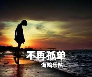 海鸥乐队《不再孤单》C调吉他谱