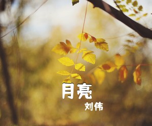 刘伟《月亮》尤克里里谱