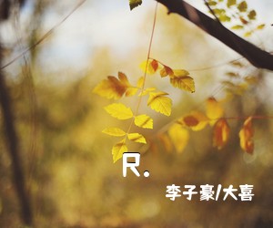 李子豪/大喜《R.》G调吉他谱