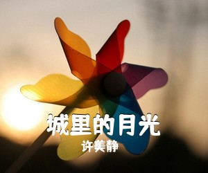 许美静《城里的月光》G调吉他谱