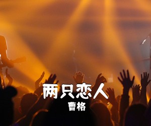 曹格《两只恋人》A调吉他谱