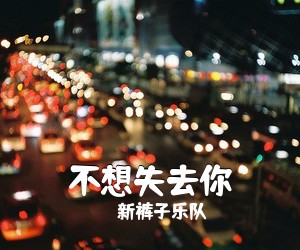 新裤子乐队《不想失去你》G调吉他谱
