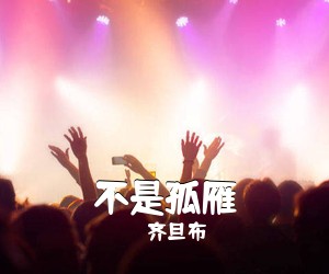 齐旦布《不是孤雁》尤克里里谱