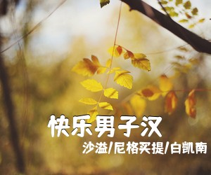 沙溢/尼格买提/白凯南《快乐男子汉》吉他谱