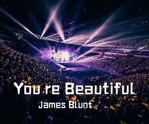 James Blunt《You re Beautiful》C调吉他谱
