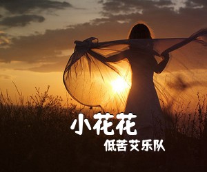 低苦艾乐队《小花花》A调吉他谱