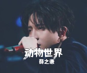 薛之谦《动物世界》C调吉他谱
