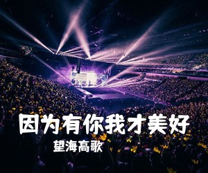 望海高歌《因为有你我才美好》尤克里里谱