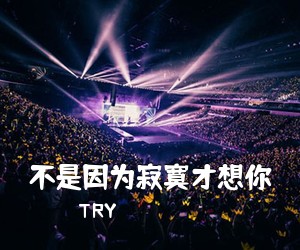 TRY《不是因为寂寞才想你》C调吉他谱