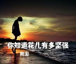 周澎《你知道花儿有多坚强》尤克里里谱