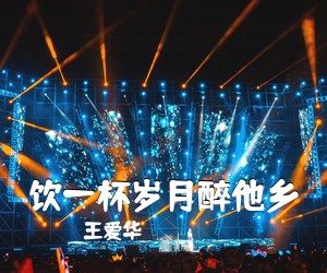 王爱华《饮一杯岁月醉他乡》尤克里里谱