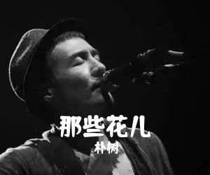 朴树《那些花儿》F调吉他谱