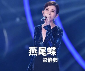 梁静茹《燕尾蝶》G调吉他谱