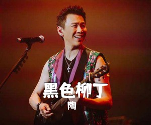 陶喆《黑色柳丁》C调吉他谱