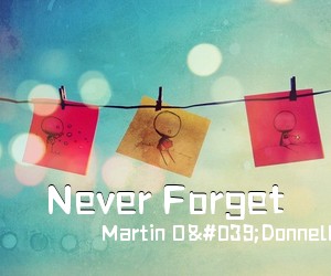 Martin O'Donnell Michael Salvatori《Never Forget》尤克里里谱