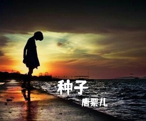 种子
