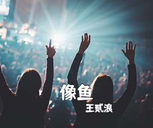 王贰浪《像鱼》G调吉他谱