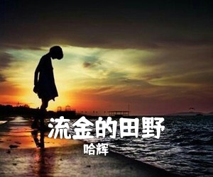 哈辉《流金的田野》尤克里里谱