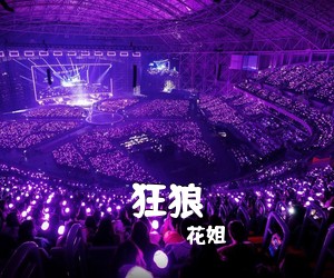 花姐《狂狼》B调吉他谱
