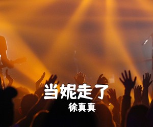 徐真真《当妮走了》C调吉他谱