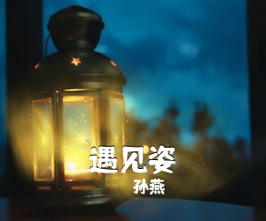 孙燕《遇见姿》G调吉他谱