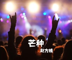 赵方婧《芒种》G调吉他谱