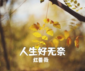 红蔷薇《人生好无奈》尤克里里谱