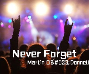 《Never Forget》 简谱