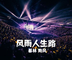 暴林 南风《风雨人生路》G调吉他谱