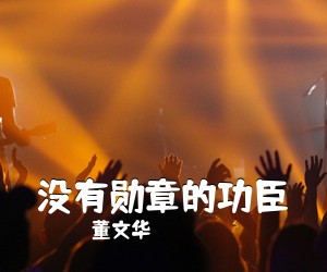 没有勋章的功臣