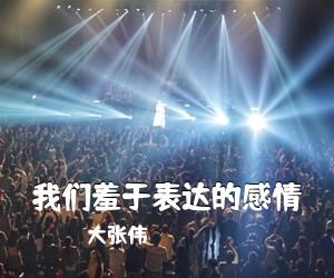 大张伟《我们羞于表达的感情》G调吉他谱